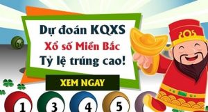 DỰ ĐOÁN XSMB 29/10/2025